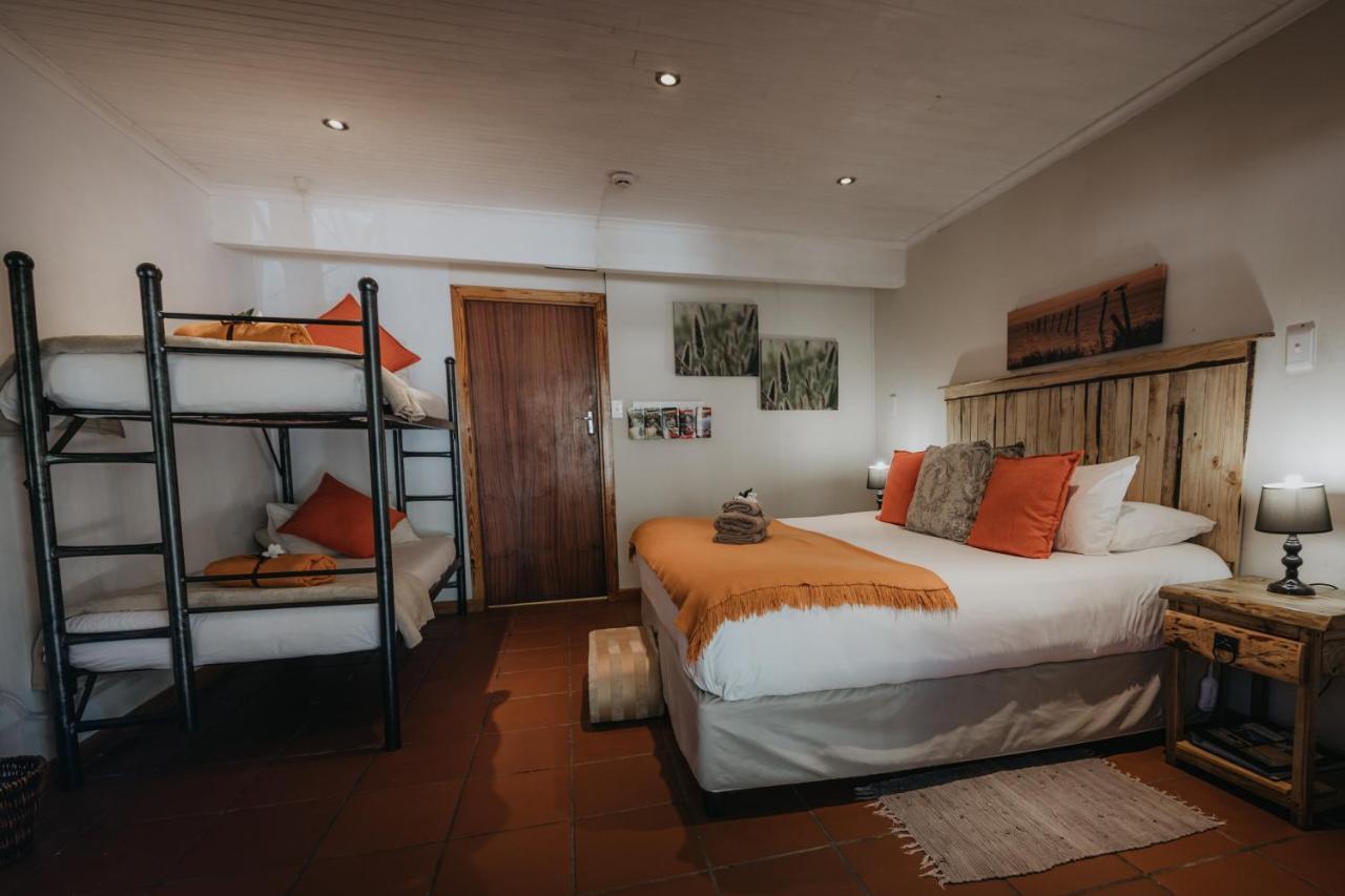 Tsitsikamma Backpackers Hostel Stormsrivier Kültér fotó