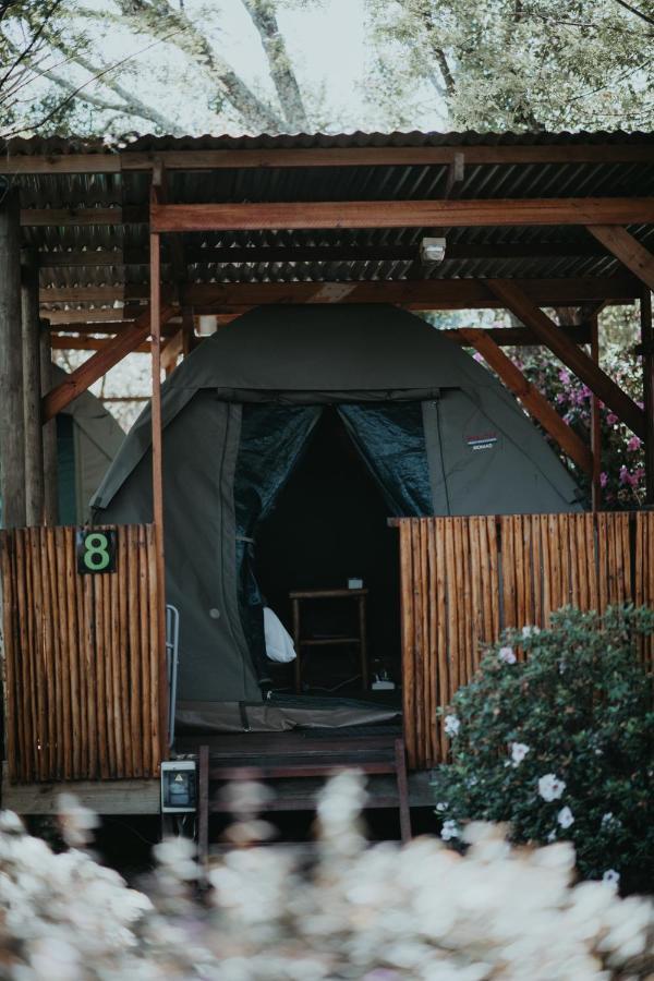 Tsitsikamma Backpackers Hostel Stormsrivier Kültér fotó