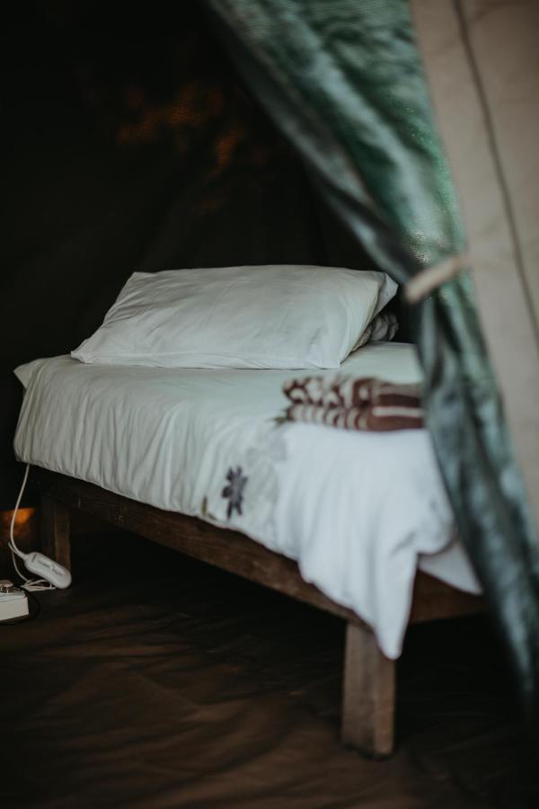 Tsitsikamma Backpackers Hostel Stormsrivier Kültér fotó